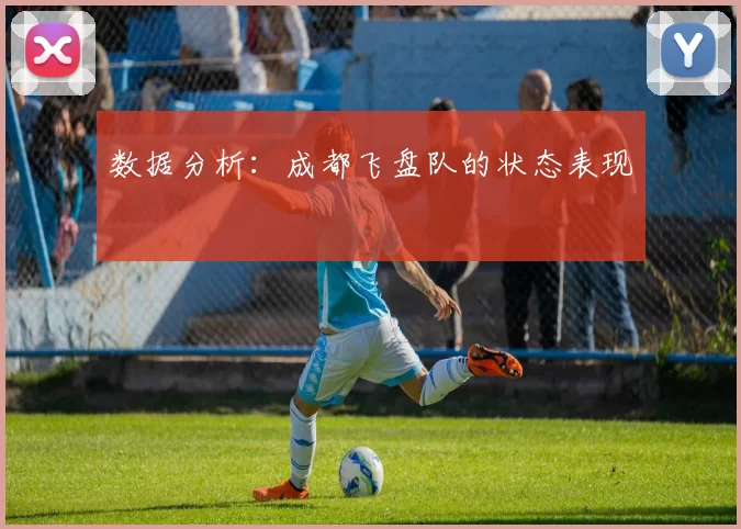 数据分析：成都飞盘队的状态表现