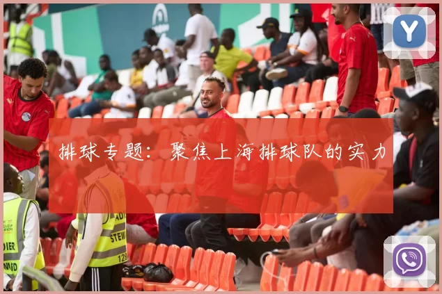 排球专题：聚焦上海排球队的实力