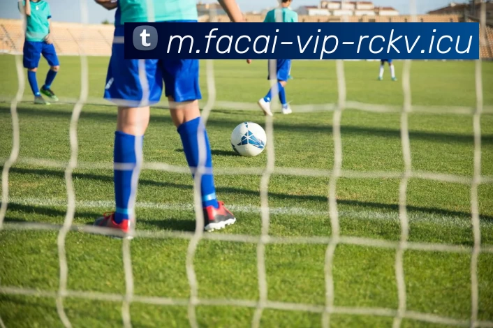 乐鱼体育注册平台生态图